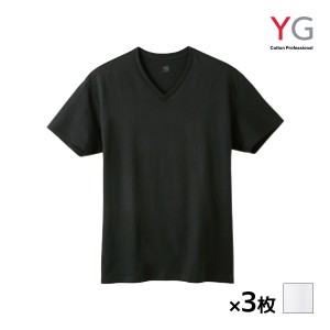 送料無料 同色3枚セット YG ワイジー コットン 超速吸水 VネックTシャツ 天竺 綿100% インナー グンゼ GUNZE | メンズ 男性 tシャツ シャ