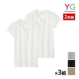 送料無料 同色3組セット 計6枚 YG ワイジー DRY&COOL 汗取り付VネックTシャツ 半袖V首 短袖 2枚組 グンゼ GUNZE | メンズ 男性 紳士 肌着