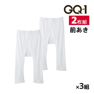 送料無料 同色3組セット 計6枚 GQ-1 消臭鹿の子 半ズボン下 前あき 2枚組 グンゼ GUNZE | メンズ 男性 紳士 肌着 下着 ズボン下 前開き 