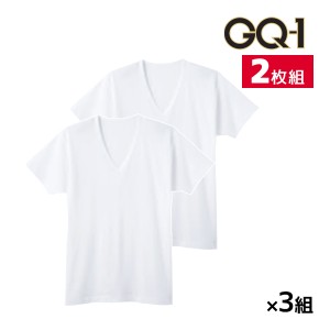 送料無料 同色3組セット 計6枚 GQ-1 冷感フライス 半袖V首 インナー Tシャツ 2枚組 グンゼ GUNZE | メンズ 男性 紳士 vネック v首 半袖 