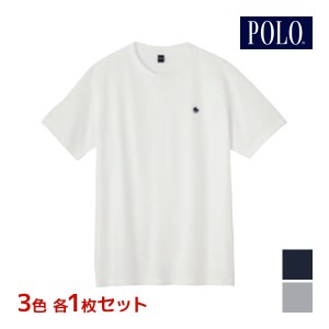 3色1枚ずつ 送料無料3枚セット POLO ポロ クルーネックTシャツ 半袖丸首 インナー Tシャツ グンゼ GUNZE | メンズ 男性 肌着 下着 半袖 