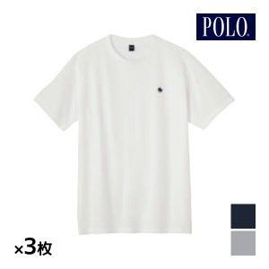 送料無料 同色3枚セット POLO ポロ クルーネックTシャツ 半袖丸首 インナー Tシャツ グンゼ GUNZE | メンズ 男性 紳士 肌着 下着 半袖 丸