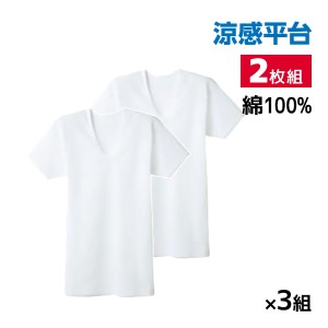 送料無料 同色3組セット 計6枚 涼感平台 冷感鹿の子 半袖U首 Tシャツ インナー 2枚組 日本製 グンゼ GUNZE | メンズ 男性 紳士 uネック u