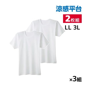 送料無料 同色3組セット 計6枚 涼感平台 抗菌防臭 速乾フライス 半袖丸首 インナー Tシャツ 2枚組 LLサイズ 3Lサイズ グンゼ GUNZE | 大