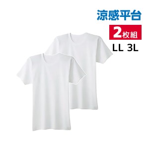 涼感平台 抗菌防臭 速乾フライス 半袖丸首 インナー Tシャツ 2枚組 LLサイズ 3Lサイズ グンゼ GUNZE | 大きいサイズ メンズ 男性 紳士 ク
