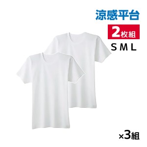 送料無料 同色3組セット 計6枚 涼感平台 抗菌防臭 速乾フライス 半袖丸首 インナー Tシャツ 2枚組 グンゼ GUNZE | 小さいサイズ メンズ 