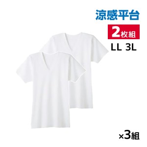 送料無料 同色3組セット 計6枚 涼感平台 抗菌防臭 速乾フライス 半袖V首 インナー Tシャツ 2枚組 LLサイズ 3Lサイズ グンゼ GUNZE | 大き