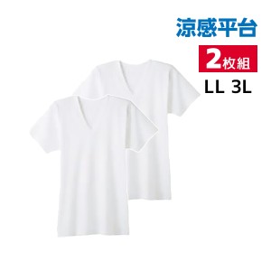 涼感平台 抗菌防臭 速乾フライス 半袖V首 インナー Tシャツ 2枚組 LLサイズ 3Lサイズ グンゼ GUNZE | 大きいサイズ メンズ 男性 紳士 vネ