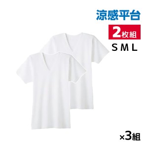 送料無料 同色3組セット 計6枚 涼感平台 抗菌防臭 速乾フライス 半袖V首 インナー Tシャツ 2枚組 グンゼ GUNZE | 小さいサイズ メンズ 男