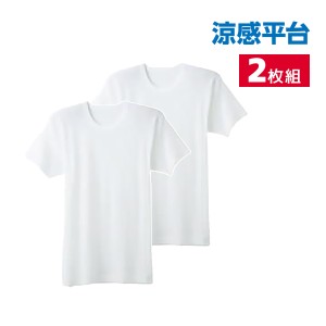 涼感平台 部屋干し 吸汗速乾フライス 半袖丸首 インナー Tシャツ 2枚組 グンゼ GUNZE | メンズ 男性 紳士 クルーネック 丸首 半袖 涼感 