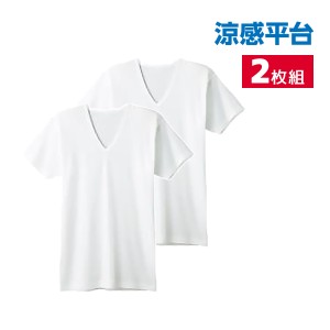 涼感平台 部屋干し 吸汗速乾フライス 半袖V首 インナー Tシャツ 2枚組 グンゼ GUNZE | メンズ 男性 紳士 vネック v首 半袖 涼感 涼しい 