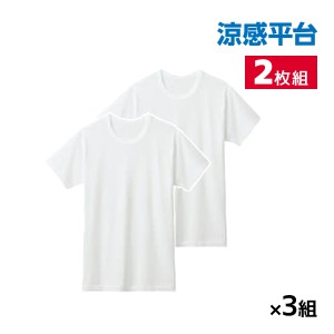 送料無料 同色3組セット 計6枚 涼感平台 メッシュ 半袖丸首 インナー Tシャツ 2枚組 グンゼ GUNZE | メンズ 男性 紳士 クルーネック 丸首