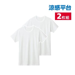 涼感平台 メッシュ 半袖丸首 インナー Tシャツ 2枚組 グンゼ GUNZE | メンズ 男性 紳士 クルーネック 丸首 半袖 涼感 涼しい 肌着 下着 