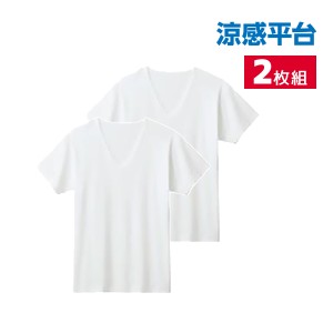 涼感平台 抗菌防臭 速乾フライス 半袖V首 インナー Tシャツ 2枚組 グンゼ GUNZE | メンズ 男性 紳士 vネック v首 半袖 涼感 涼しい 肌着 