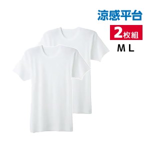 涼感平台 抗菌防臭 鹿の子 半袖丸首 インナー Tシャツ 2枚組 グンゼ GUNZE | メンズ 男性 紳士 クルーネック 丸首 半袖 涼感 涼しい 肌着