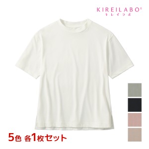 5色1枚ずつ 送料無料5枚セット KIREILABO キレイラボ Fitte フィッテ 5分袖 オーバーサイズ Tシャツ 女性 グンゼ GUNZE | tシャツ カット