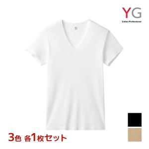 3色1枚ずつ 送料無料3枚セット YG ワイジー NEXTRA+ COOL VネックTシャツ 綿100% インナー グンゼ GUNZE | メンズ 男性 tシャツ vネック 