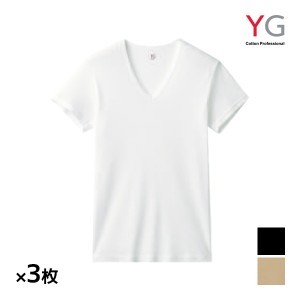 送料無料 同色3枚セット YG ワイジー NEXTRA+ COOL VネックTシャツ 綿100% インナー グンゼ GUNZE | メンズ 男性 tシャツ vネック ひんや