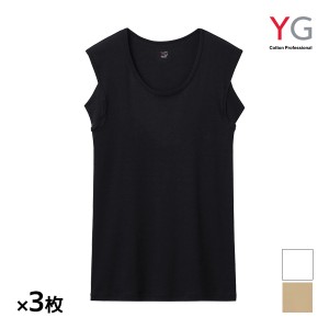 送料無料 同色3枚セット YG ワイジー NEXTRA+ COOL 汗取り付きクルーネックスリーブレスシャツ 綿100% グンゼ GUNZE | メンズ 男性 スリ