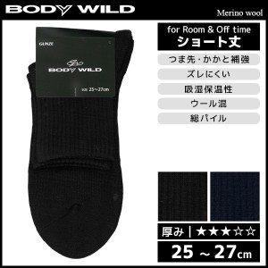 BODYWILD ボディワイルド メリノウール メンズソックス 靴下 グンゼ GUNZE | ボディーワイルド body wild メンズ 男性 紳士 くつした く