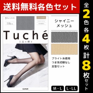 2色4枚ずつ 送料無料8枚セット Tuche トゥシェ 上品な輝き シャイニーメッシュ  グンゼ GUNZE パンティストッキング パンスト| ストッキ