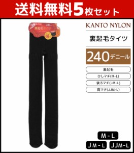 送料無料5枚セット 裏起毛タイツ 240デニール タイツ 関東ナイロン | 裏起毛 あったかタイツ 暖かい あったか 起毛タイツ 女性 婦人 レデ