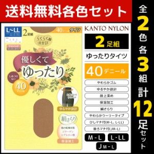 2色3組ずつ 送料無料6組セット 計12足 らくらく倶楽部 優しくてゆったりタイツ 40デニール 2足組 タイツ 関東ナイロン | 女性 婦人 レデ