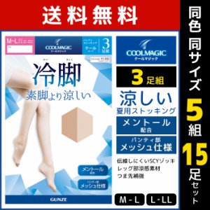 送料無料 同色5組セット 計15足 COOLMAGIC クールマジック 冷脚 素脚より涼しい ストッキング 3足組 パンスト グンゼ GUNZE | パンティス