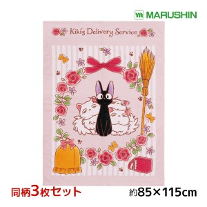 送料無料 同柄3枚セット 丸眞 ジブリ 魔女の宅急便 ジジ お昼寝ケット タオルケット 子供 赤ちゃん | お昼寝タオル お昼寝ケット 幼稚園 