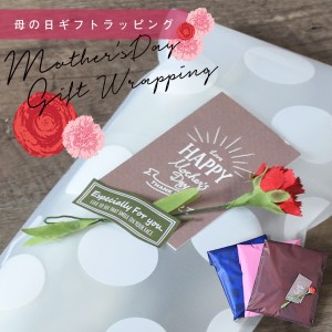 (母の日割クーポンで200円OFF)母の日 プレゼント カーネーション ラッピング「カーネーション（造花）＋母の日カード ラッピングセット」
