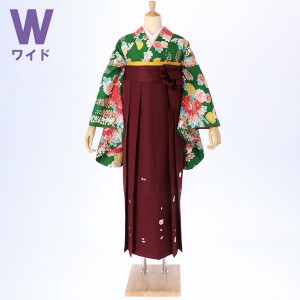 【中古品】二尺袖 単品「ワイドサイズ 緑 菊と藤の花」貸衣装処分 レンタル処分品 卒業式 【メール便不可】