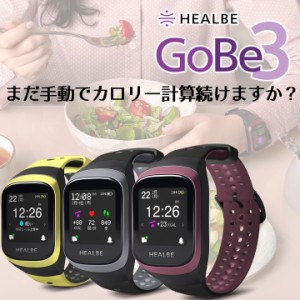 スマートウォッチ HEALBE GoBe3 ゴービー3 HGB3 カロリー計算 ダイエット 食事管理 代謝アップ 水分管理 睡眠計 歩数計 ウェアラブル ス