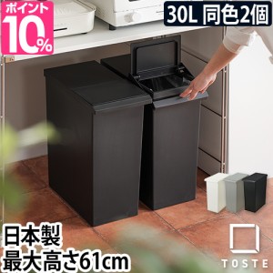 ゴミ箱 ごみ箱 選べる豪華特典 TOSTE レバーオープン 30L 同色2個セット 30リットル スリム キャスター付き キャスター オシャレ おしゃ