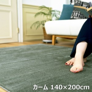 BIG SIZE RUG カーペット スミノエ ラグ 防炎 防ダニ カーム 140×200cm 13440306-140200-50 ダークグリーン