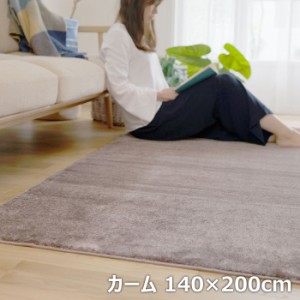 BIG SIZE RUG カーペット スミノエ ラグ 防炎 防ダニ カーム 140×200cm 13440306-140200-67 モーヴ