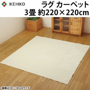 イケヒコ ラグカーペット 3畳 洗える 『イーズ』 アイボリー 約220×220cm 裏:すべりにくい加工 ホットカーペット対応 3963589