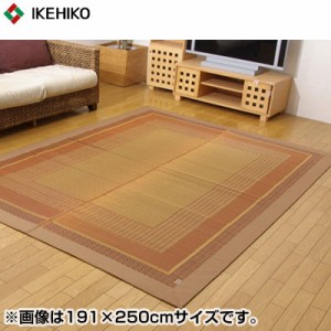 【送料無料】イケヒコ・コーポレーション 純国産 い草ラグカーペット ランクス総色 ベージュ 約140×200cm 8200950