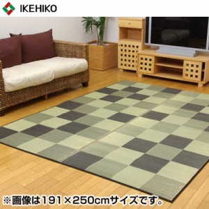 【送料無料】イケヒコ・コーポレーション 純国産 い草ラグカーペット ブロック2 グレー 約140×200cm 8220400