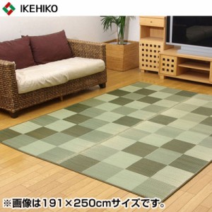 【送料無料】イケヒコ・コーポレーション 純国産 い草ラグカーペット ブロック2 グリーン 約140×200cm 8220800