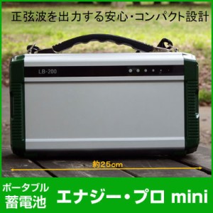 【送料無料】PIF ポータブル蓄電池 エナジー・プロ ｍｉｎｉ DEAR LIFE LB-200