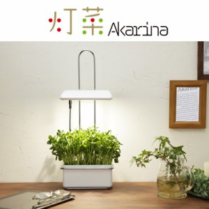 【送料無料】LED水耕栽培 植物育成器 灯菜（アカリーナ） 野菜 ハーブ お花 オリンピア照明 OMA15