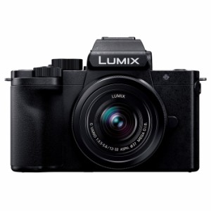パナソニック ミラーレス一眼カメラ ルミックス LUMIX G100D レンズキット DC-G100DK Panasonic