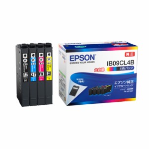 【送料無料】エプソン 純正 インクカートリッジ 電卓 4色パック 大容量インク IB09CL4B
