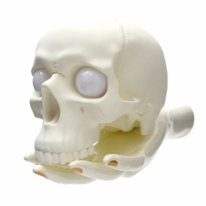 【数量限定特別価格】 新品 アンダーカバー UNDERCOVER x パム P.A.M. SKULL & HAND LAMP ランプ ライト 照明 WHITE ホワイト 白 グッズ