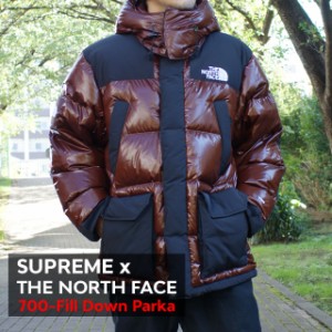 新品 シュプリーム SUPREME x ザ ノースフェイス THE NORTH FACE 700-Fill Down Parka ダウン ジャケット BROWN ブラウン 茶 OUTER