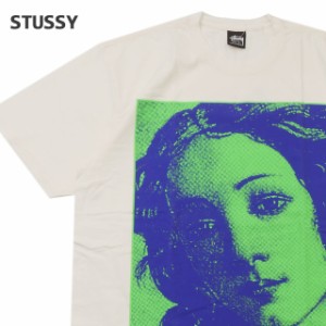 新品 ステューシー STUSSY VENUS PIG DYED TEE Tシャツ NATURAL ナチュラル 半袖Tシャツ