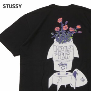 新品 ステューシー STUSSY FLOWER BOMB TEE Tシャツ BLACK ブラック 半袖Tシャツ