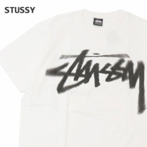 新品 ステューシー STUSSY DIZZY STOCK TEE Tシャツ 半袖Tシャツ