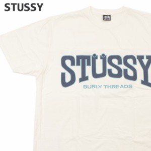 (2024新作)新品 ステューシー STUSSY BURLY THREADS PIG.DYED TEE ピグメント ダイ Tシャツ スケート ストリート エイトボール ストック