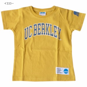 ●クロネコゆうパケット２点まで可　セール NCAA キッズ バークレー カレッジプリント 半袖 Tシャツ KC7065-18 子供 ジュニア ストリート